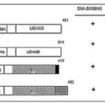 TDM-ch3d-fig002