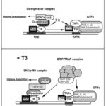 TDM-ch3d-fig006