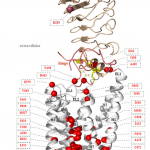 Figure1-Chapt16a