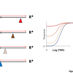 Figure2-Chapt16a