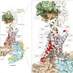 Figure3b-Chap16aa