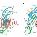Figure4-Chapt16a