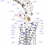 Figure5-Chapt16a