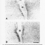 fig5b6