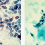 fig10