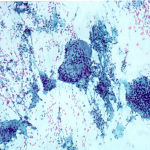 fig8