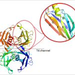 Figure3