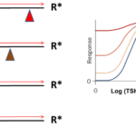 TDM-TSHR mutations-ch16a-fig2
